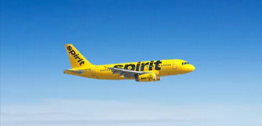 Cheap Plane Flight – How to Find the Best Deals